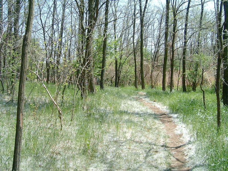 20120501 039.jpg